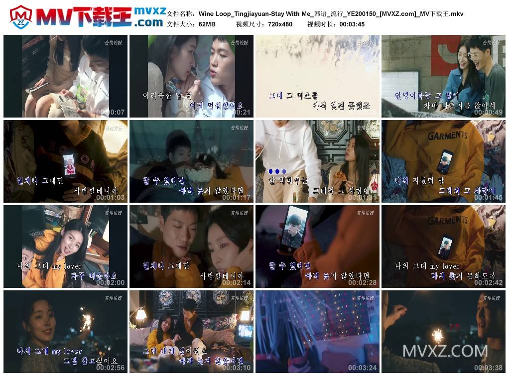 Wine Loop_Tingjiayuan-Stay With Me_韩语_流行_YE200150